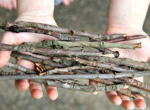 activité nature enfant bois