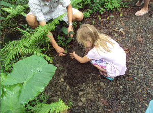 activité nature enfant arbre